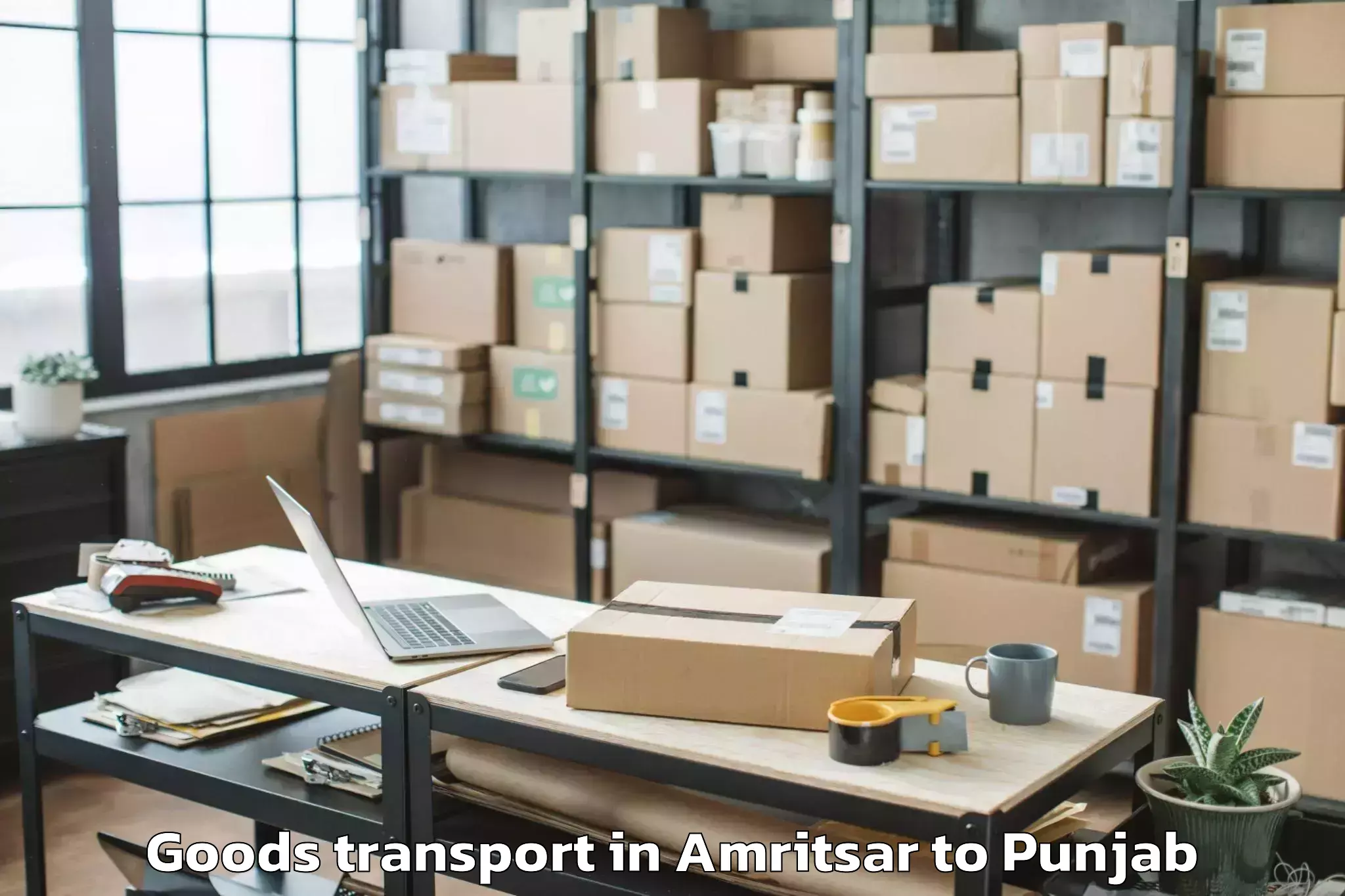 Quality Amritsar to Nurpur Kalan Goods Transport